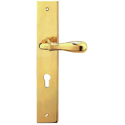 Brass Handle with Plate